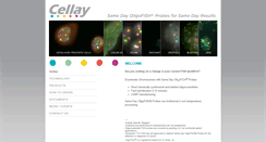 Desktop Screenshot of cellayinc.com