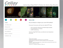 Tablet Screenshot of cellayinc.com